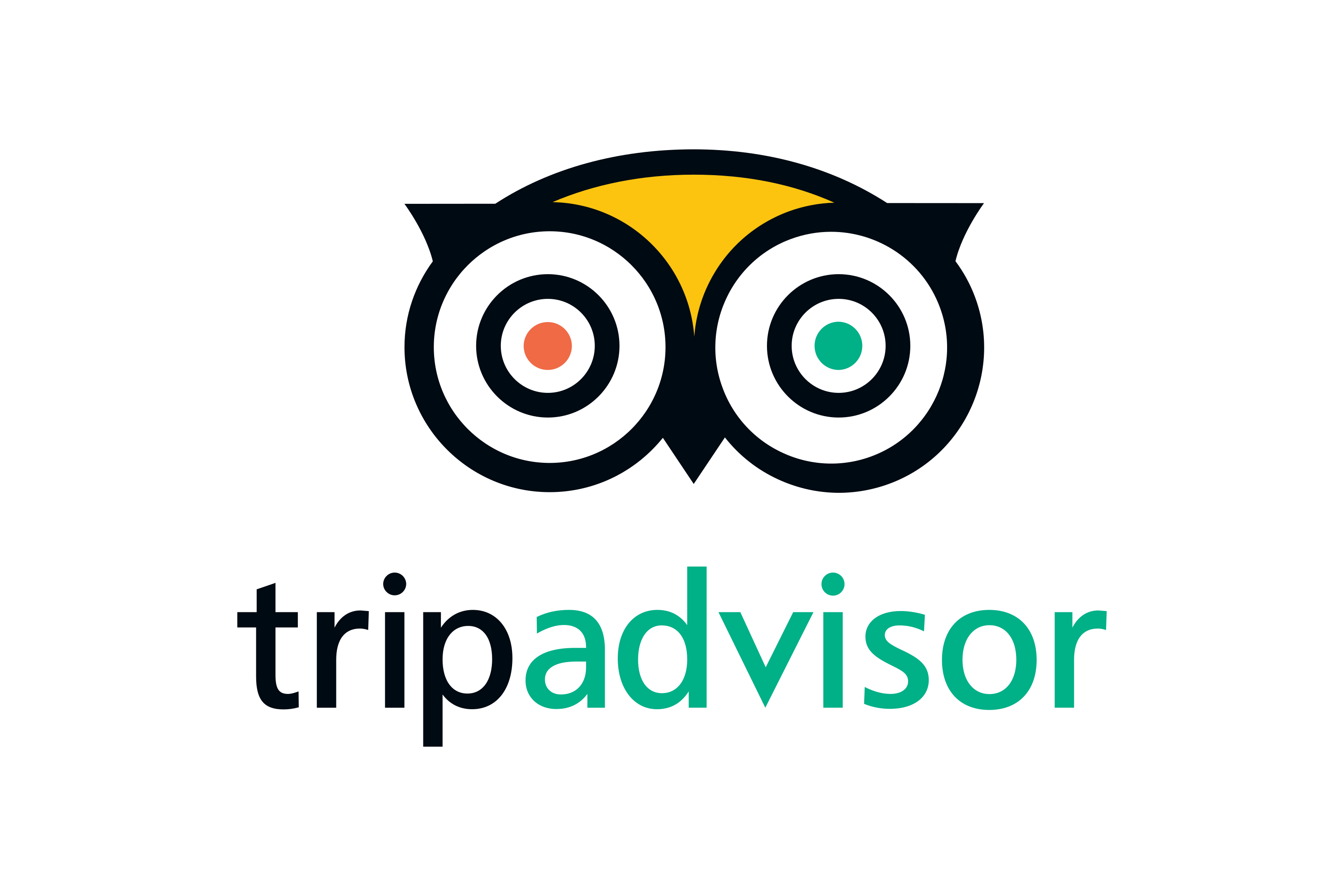 trip advisor